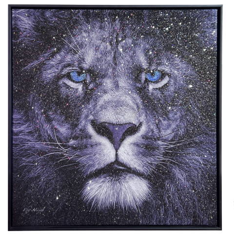 LION STARE
